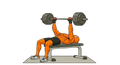Gym Domination|Aesthetics Blueprint